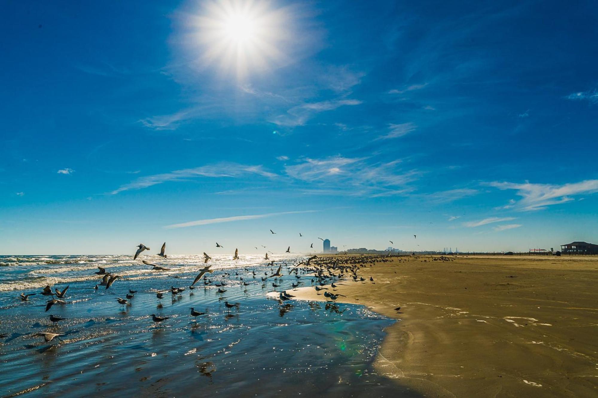 Beachside Paradise Retreat With Luxury Villa Galveston Bagian luar foto